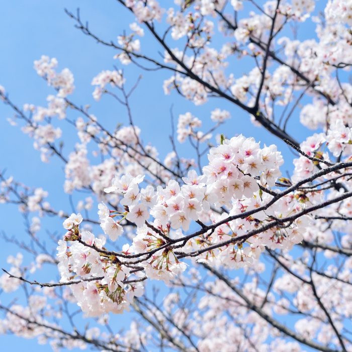 Thumbnail of post image 010